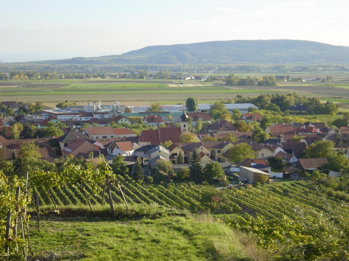 Weingut Und Gaestehaus Berger Gedersdorf ภายนอก รูปภาพ